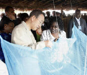Nações Unidas marcam Dia Mundial de Combate à Malária